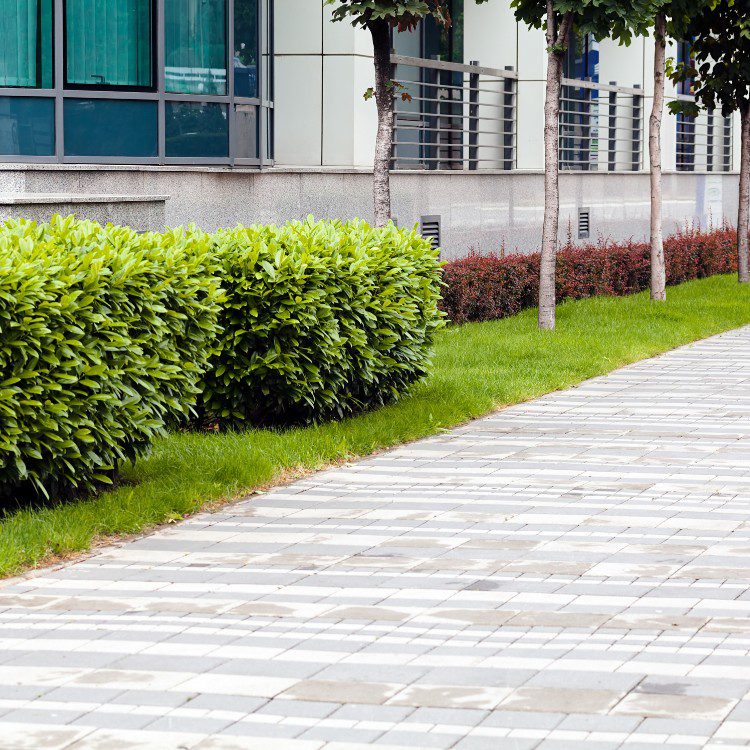 Landscaping Services in Kannapolis, NC