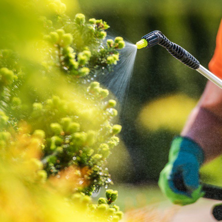 Landscaping Services in Kannapolis, NC Landscaping Services in Kannapolis, NC