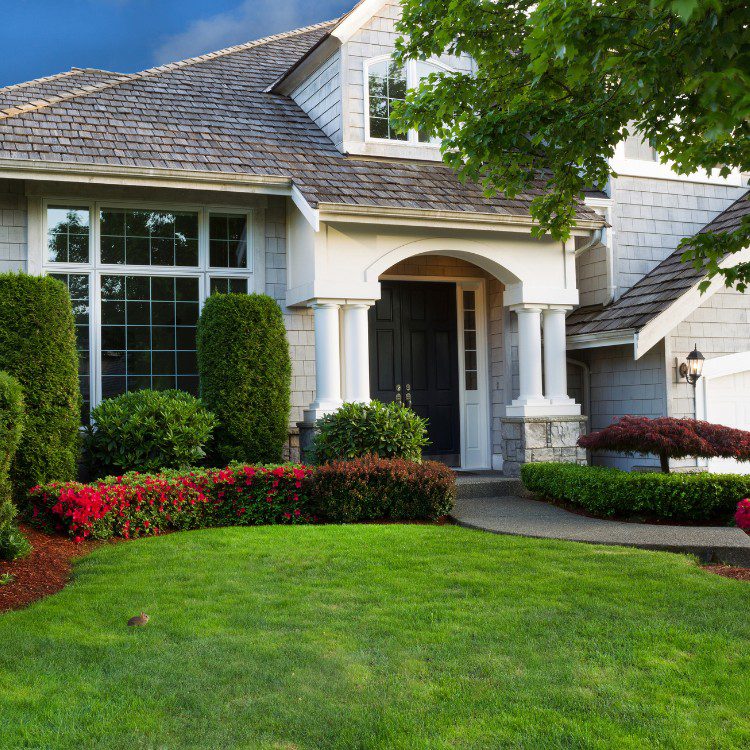Landscaping Services in Kannapolis, NC