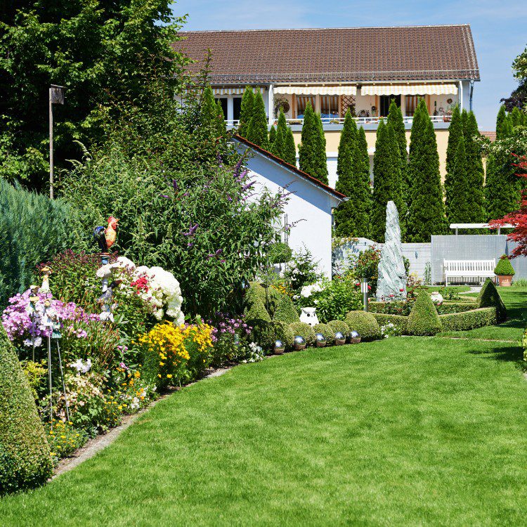 Landscaping Services in Kannapolis, NC