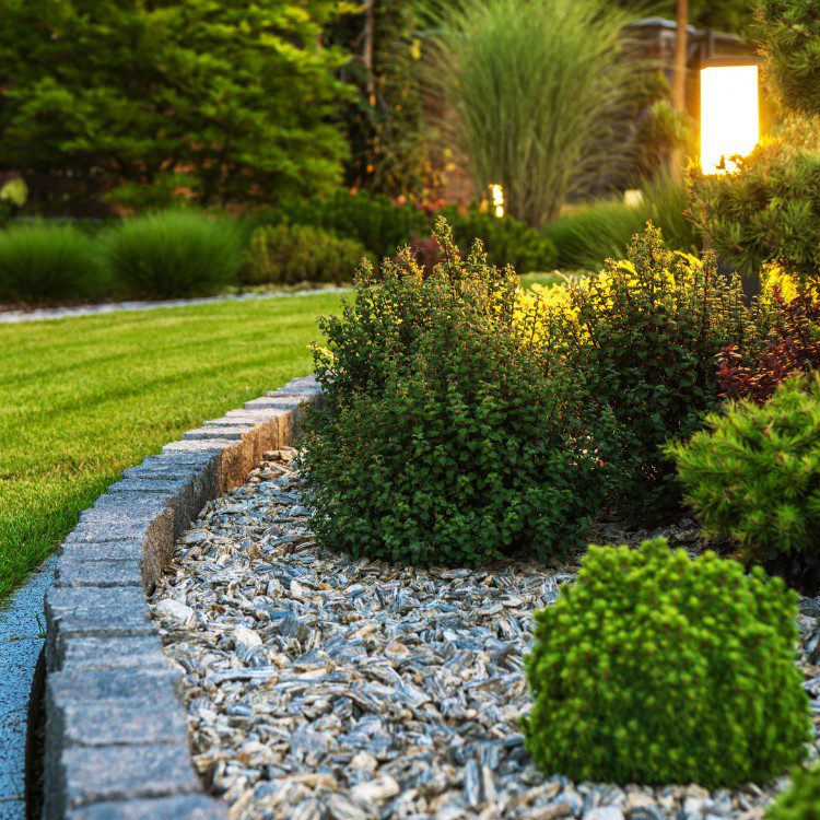 Landscaping Services in Kannapolis, NC
