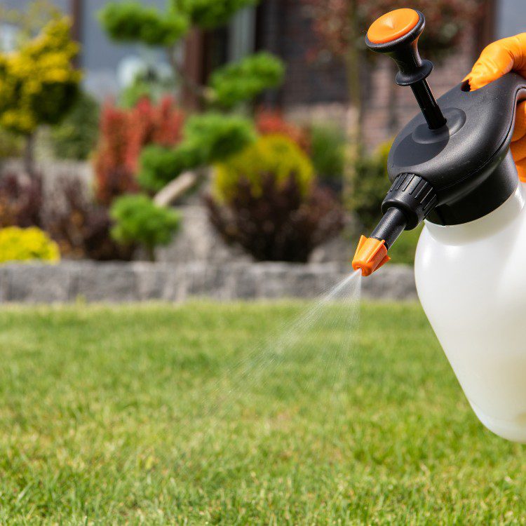 Landscaping Services in Kannapolis, NC